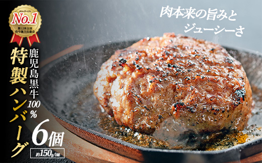 鹿児島黒牛特選ハンバーグ6個入り【nixy中山亭】_chuzan-7011