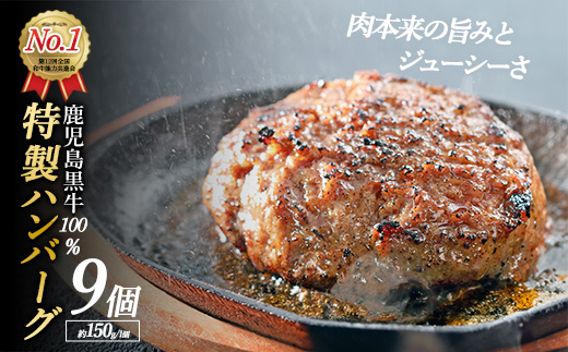 鹿児島黒牛特選ハンバーグ9個入り【nixy中山亭】_chuzan-7012