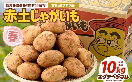 長島のミネラル栽培じゃがいも(計10kg)【エグチベジフル(株)】_eguchi-7019