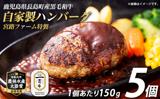 鹿児島県産合挽き肉使用 自家製ハンバーグ計5個(1個150g)【宮路ファーム】_f-miyaji-7024