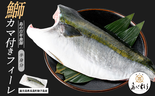 獅子島産 百年漁師の鰤 カマ付きフィーレ1パック (半身分) 【島のごちそう】_gochi-7038R8