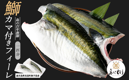 獅子島産 百年漁師の鰤 カマ付きフィーレ２パック (１匹分) 【島のごちそう】_gochi-7039
