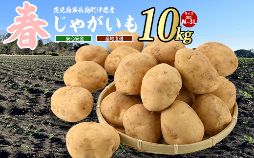 【厳選手選別】みずみずしい新じゃが　春じゃがいも10kg_horino-7074
