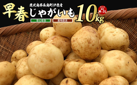 【先行予約】＜数量・期間限定＞ホックホク甘さがある伊唐産早春じゃがいも(約10kg)【旬感foods】_horino-7076