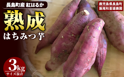 《先行予約》〈数量限定〉和喜雄さんといつみさんのはちみつ芋(計3kg)【飯尾和喜雄農園】_iio-7086