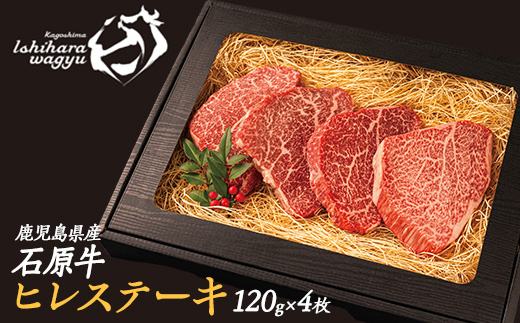 石原牛のヒレステーキ(120g×4) (数量限定)石原牛 赤身 ヒレ ステーキ 480g 国産 牛 ウシ 牛肉 焼肉 BBQ バーベキュー ビーフ 冷凍【石原PRO】_ishihara-7089