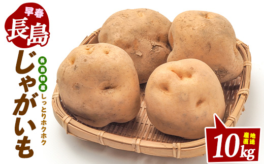 長島町特産早春バレイショ(10kg)鹿児島県 長島町 じゃがいも ばれいしょ 芋 早春【鹿児島いずみ農業協同組合】_ja-7109