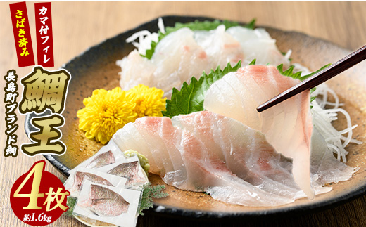 長島町特産「鯛王」 フィレ 半身 4枚入り カマ付 (約1.6kg) 産地直送 新鮮 旨味が抜群の 長島町 特産品 ブランド 刺身 鯛めし 鯛茶漬け 鯛しゃぶ 鯛刺身 鮮魚 冷蔵 【JFA】_jfa-7119