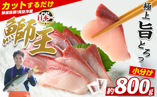 【お試し品】 ぶりの王様「 鰤王 」 スキンレスポーション 4P入り 冷蔵 でお届け ぶり ブリ 鰤 ぶりしゃぶ たたき 産地直送 新鮮 旨味が抜群の 長島町 特産品【JFA】_jfa-1600