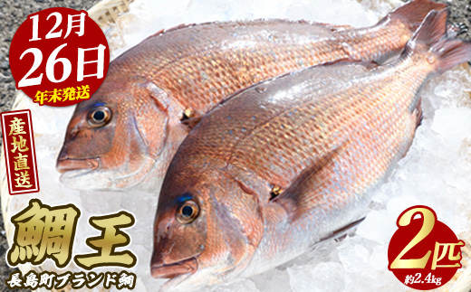 【2025年12月26日発送】長島町特産「鯛王」(2匹・約2.4kg) 産地直送 新鮮 旨味が抜群の 長島町 特産品 ブランド 真鯛 をまるごと 一匹 楽しめる 刺身 鯛めし 鯛茶漬け 鯛しゃぶ 鯛刺身 鮮魚 冷蔵 年末発送【JFA】_jfa-22-1226R7