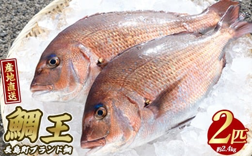 長島町特産「鯛王」(2匹・約2.4kg) 産地直送 新鮮 旨味が抜群の 長島町 特産品 ブランド 真鯛 一匹 刺身 鯛めし 鯛茶漬け 鯛しゃぶ 鮮魚 冷蔵 【JFA】_jfa-7144