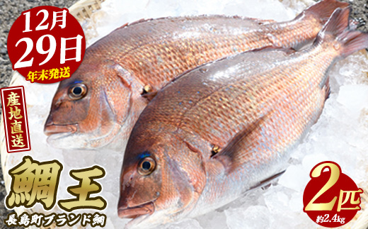 【2025年12月29日発送】長島町特産「鯛王」(2匹・約2.4kg) 産地直送 新鮮 旨味が抜群の 長島町 特産品 ブランド 真鯛 をまるごと 一匹 楽しめる 刺身 鯛めし 鯛茶漬け 鯛しゃぶ 鯛刺身 鮮魚 冷蔵 年末発送【JFA】_jfa-22-1229R7