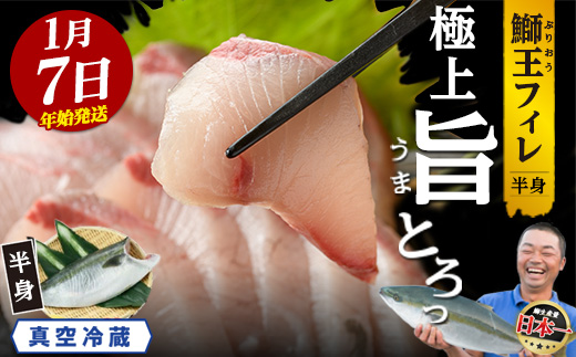＼年始発送 先行予約／＜数量限定＞【2027年1月7日発送】『旅サラダ』で紹介ぶりの王様「 鰤王 」 フィレ 半身 (約1.2～1.5kg・フィレ1枚) 産地直送 新鮮 旨味が抜群の 長島町 特産品 ブランド ぶり 鰤 ブリ 切り身 真空 冷蔵 刺身 ぶりしゃぶ しゃぶしゃぶ 魚 魚介 人気 ランキング 年末年始発送 【JFA】_jfa-7006-07