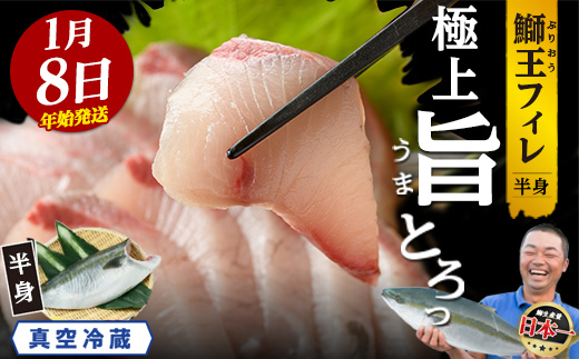 ＼年始発送 先行予約／＜数量限定＞【2027年1月8日発送】『旅サラダ』で紹介ぶりの王様「 鰤王 」 フィレ 半身 (約1.2～1.5kg・フィレ1枚) 産地直送 新鮮 旨味が抜群の 長島町 特産品 ブランド ぶり 鰤 ブリ 切り身 真空 冷蔵 刺身 ぶりしゃぶ しゃぶしゃぶ 魚 魚介 人気 ランキング 年末年始発送 【JFA】_jfa-7006-08