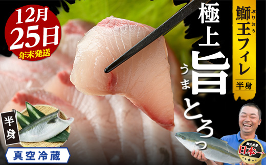 ＼年末発送 先行予約／＜数量限定＞【2026年12月25日発送】『旅サラダ』で紹介ぶりの王様「 鰤王 」 フィレ 半身 (約1.2～1.5kg・フィレ1枚) 産地直送 新鮮 旨味が抜群の 長島町 特産品 ブランド ぶり 鰤 ブリ 切り身 真空 冷蔵 刺身 ぶりしゃぶ しゃぶしゃぶ 魚 魚介 人気 ランキング 年末年始発送 【JFA】_jfa-7006-25