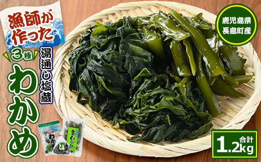 菊栄丸の手作り湯通し塩蔵わかめセット(計1.2kg)【菊栄丸水産】_kiku-7163