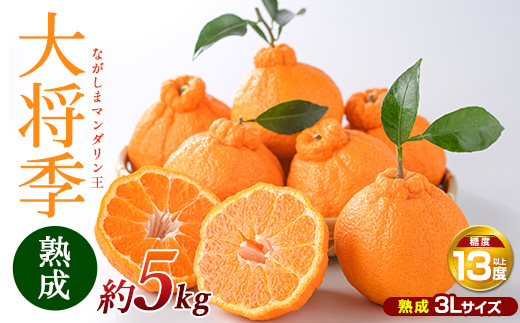 【先行予約】熟成 ながしまマンダリン王(大将季) 約5kg【ながしまマンダリングループ】_mandarin-7199