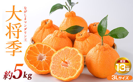 ながしまマンダリン王(大将季) 約5kg【ながしまマンダリングループ】_mandarin-7198
