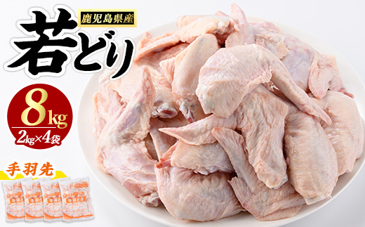 まつぼっくり　若どり手羽先8kg【まつぼっくり】_matu-7213