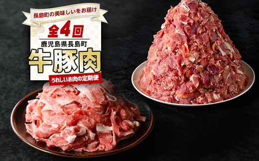 ＜定期便・毎月発送全4回＞ うれしいお肉の定期便 鹿児島県産 豚肉 切り落とし (計4kg・500g×8P) 黒毛和牛 切り落とし (計600g・300g×2P) 【コワダヤ】【宮路ファーム】_nagashima-1520