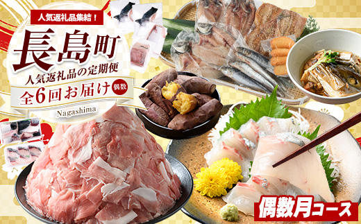 《偶数月発送全6回》全事業者 長島町スペシャル定期便 _nagashima-1537