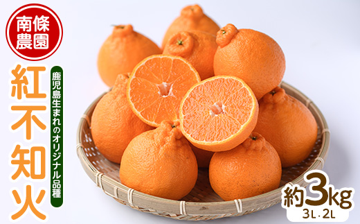 【先行予約】紅 不知火 (3L・2L) 約3kg しらぬい みかん ミカン 蜜柑 柑橘 果物 くだもの フルーツ 【南條農園】_nannjyo-7260