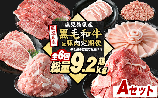 ＜定期便全6回＞黒毛和牛＆豚肉定期便 総重量9.2kg超 赤身 モモ 豚 ミンチ ロースかつ 豚肉 牛肉 切り落とし サーロイン 豚ロース しゃぶしゃぶ すき焼き 【スターゼン】_starzen-1534