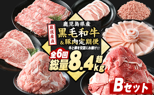 ＜定期便全6回＞黒毛和牛＆豚肉定期便 総重量8.4kg超 赤身 ロース 豚 ミンチ ロースかつ 豚肉 牛肉 切り落とし サーロイン 豚ロース しゃぶしゃぶ すき焼き 【スターゼン】_starzen-1535