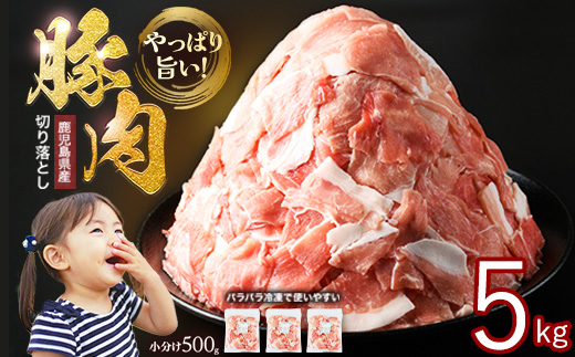 小分け＆パラパラで使い勝手抜群！安心の鹿児島県産 豚肉 切り落とし (計5kg・500g×10P) 訳あり 小間切れ 小分け 冷凍 ふるさと納税 豚肉 切り落とし【スターゼン】_starzen-7300