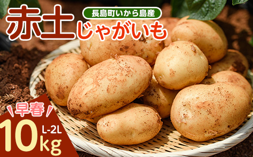 《早春:2月中旬より発送》いから島産赤土じゃがいも10kg【高橋農園】takahashi-7310