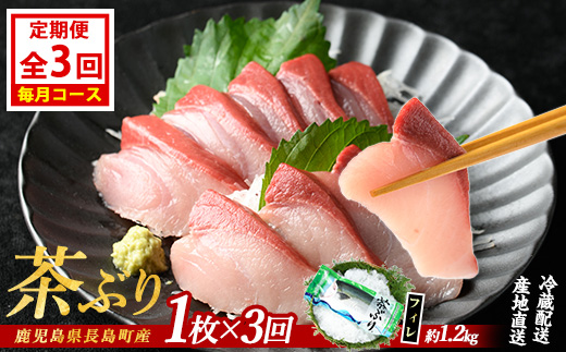 茶ぶりフィレ定期便 毎月 (全3回)  国産 鹿児島県産 ブリ 茶ぶり 鰤 海鮮 海産物 フィレ 魚介 魚 刺身 海鮮丼 産地直送 定期【ウスイ】_usui-1383A7