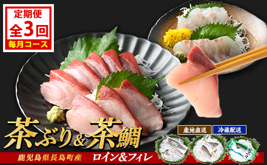 茶ぶり・茶鯛の定期便 毎月 (全3回)  国産 鹿児島県産 ブリ 茶ぶり 鰤 茶鯛 鯛 海鮮 海産物 フィレ 魚介 魚 刺身 海鮮丼 産地直送 定期【ウスイ】_usui-1385A7