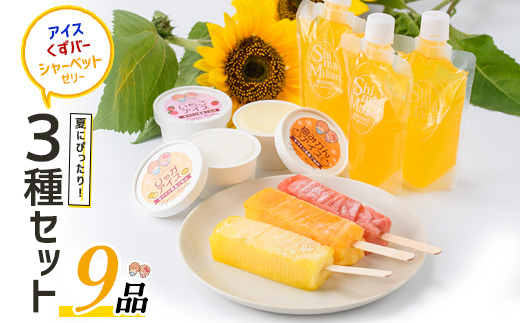 長島町産！シャーベットゼリー・くずバー・アイスセット(3種・合計9個)【レガーレ・ワキタ】_waki-7326