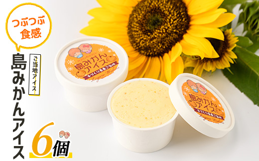 島みかんアイス(6個)【レガーレ・ワキタ】_waki-7329