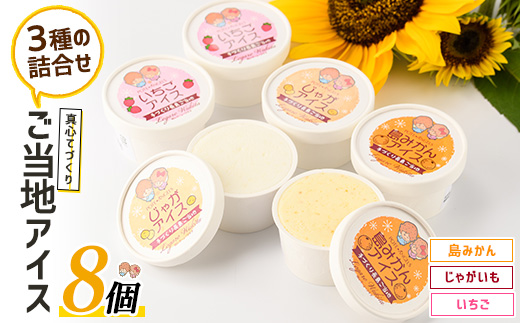 長島ご当地アイスセット(8個)【レガーレ・ワキタ】_waki-7333