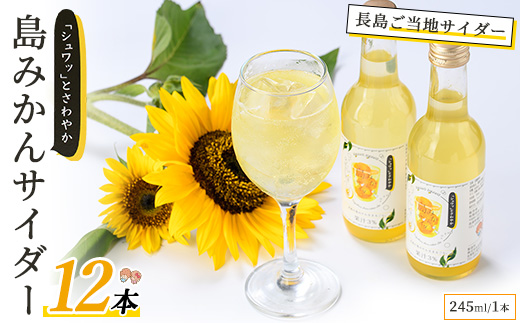 島みかんサイダー(12本)【レガーレ・ワキタ】_waki-7338