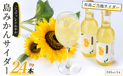 島みかんサイダー(24本)【レガーレ・ワキタ】_waki-7339