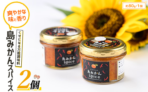 長島の島みかんスパイス(2個)【レガーレ・ワキタ】_waki-7340