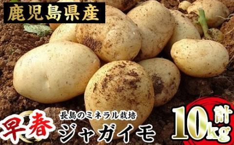 早春長島のミネラル栽培ジャガイモ(10kg)[エグチベジフル株式会社]eguchi-4091