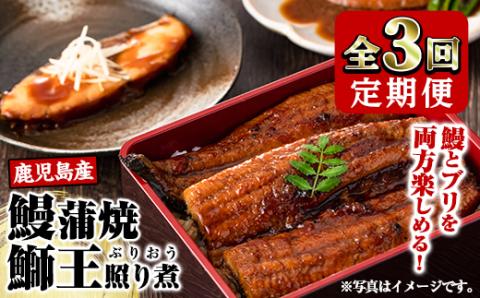 鰻蒲焼と鰤王照り煮の定期便_satsuma-909