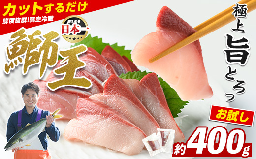 【お試し品】 ぶりの王様「 鰤王 」 スキンレスポーション 2P入り 冷蔵 でお届け ぶり ブリ 鰤 ぶりしゃぶ たたき 産地直送 新鮮 旨味が抜群の 長島町 特産品【JFA】_jfa-1599