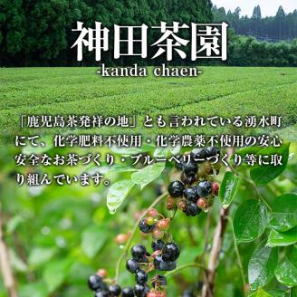 y397-03 《数量限定》神田茶園の湧水米粉チーズケーキ(湧水茶・6号) チーズ クリームチーズ 米粉 スイーツ デザート お菓子 おかし お茶 グルテンフリー 健康志向 ギフト 贈答 贈り物 プレゼント 冷凍【神田茶園】