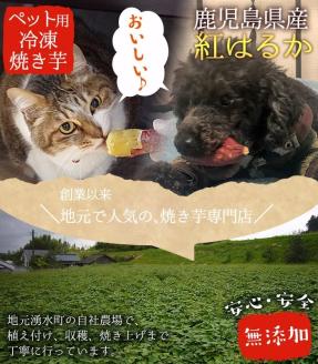 y136 ≪先行予約受付中！2026年1月以降順次発送≫湧水町産さつまいも！紅はるかを使用したペット用冷凍やきいも(500g×3袋・計1.5kg) 国産 九州産 鹿児島県産 サツマイモ さつま芋 紅春香 芋 焼き芋 やきいも 野菜 スイーツ 冷凍 ペット用 えさ エサ【永野工務店】