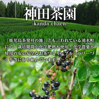 y227 神田茶園×きくすい堂コラボ！一番摘み茶葉使用ティーバッグ(4g×20)上煎茶(100g)ときくすい堂の和洋菓子(7～10個)の詰め合わせ！ホッと一息タイムに！ 和菓子 詰め合わせ 食べ比べ スイーツ お菓子 おかし 饅頭 まんじゅう お茶 茶葉 日本茶 ギフト 贈答 贈り物【神田茶園】