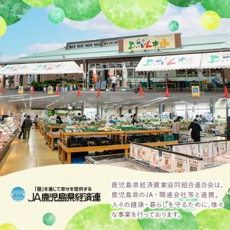 y358 野菜と果物旬の詰め合わせ(12～14品目) 国産 九州産 鹿児島県産 野菜 やさい果物 くだもの フルーツ デザート 詰め合わせ お楽しみ セット 旬【鹿児島県経済農業協同組合連合会】