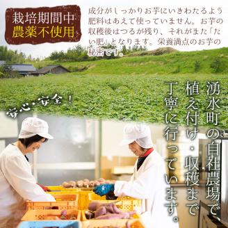 D01 鹿児島県産紅はるか使用の冷凍やきいも(3kg) 国産 九州産 サツマイモ さつま芋 紅春香 芋 焼き芋 やきいも焼きいも 野菜 スイーツ 冷凍 熟成【永野工務店】