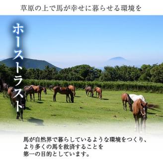 y241 馬主のいない馬を助けたい！トラストスポンサーチケット(1枚) 里親として1年間サポートするシステムです 馬 競走馬 競馬 乗馬 乗用馬 里親 ペット サポート【NPO法人ホーストラスト】