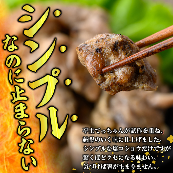 y244 鹿児島県産！鶏の炭火焼き(計850g・170g×5袋) 国産 九州産 鹿児島産 鶏肉 とり肉 お肉 若鳥 若鶏 もも肉 むね肉 焼き鳥 やきとり 炭火焼 鶏炭火焼き 鶏炭火焼 真空パック 真空 おかず おつまみ 【ほかむら】