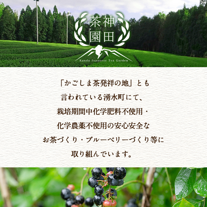 y312 《数量限定》鹿児島県湧水町産！栽培期間中農薬・化学肥料不使用！湧水煎茶(100g×5本) 国産 九州産 鹿児島県産 茶葉 お茶 茶 日本茶 緑茶 煎茶 一番茶 湧水茶 浅蒸し茶 ギフト 贈答 プレゼント 贈り物 令和7年産 【神田茶園】