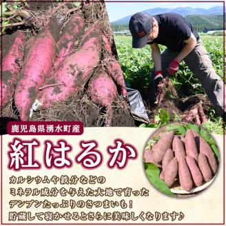 y329-A ≪通常サイズ(1個あたり100g~)≫湧水町産有機さつまいも「紅はるか」(計10kg)国産 九州産 鹿児島産 有機栽培 サツマイモ 生芋 芋 焼き芋 やきいも べにはるか 天ぷら おかず 野菜 おやつ スイーツ 旬 常温 常温保存【そのやま農園】